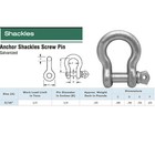 10 Pc 3 16  Screw Pin Anchor Shackle Galvanized Steel Drop Forged 665 Lbs D Ring
