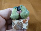 Y-bir-pa-452 Parrot Macaw Pair Bird Green Gemstone Soapstone Figurine Love Birds