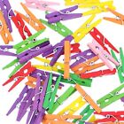 500 Pack - 1 1 8  Mini Clothespins - Mixed Colors - Wood Clothes Pins