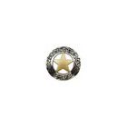 10pc Silver Engraved Texas Ranger Gold Star Conchos 1-1 8  Screw Back  Us Seller