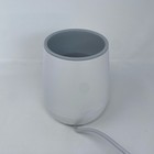 Philips Avent Fast Bottle Warmer Advanced  White  Eu 220-240v