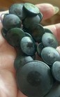 24 Antique Vegetable Ivory Buttons Black green Star Vintage Clothing