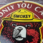 Vintage Smokey Bear Porcelain Sign - Only You Can Prevent Wildfires Forest Sign