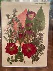 15 Sets Of Pressed   Dried Flowers Color Packs   Home Arts   Floral Craft