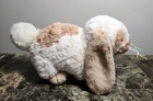 Webkinz Holland Lop Bunny Ganz Stuffed Animal No Code 9 