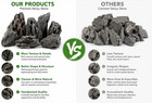 5lbs Natural Seiryu Stones aquarium Aquascaping Decor Rocks  2-7 Inch 
