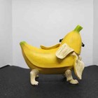 Westland Giftware - Pugnacious Banana Pug Figurine