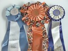 Vtg 80s Cfa Cat Show Ribbon American Cat Club Specialty Best Cat Fanciers Pin  m