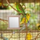 Wood Pet Parrots Birds Toy With Bell Double Side Mirror On Cage Swing Play
