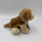 Webkinz Lil Kinz Cocker Spaniel Plush New With Code Hs011
