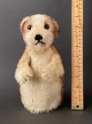 Steiff Molly Dog Hand Puppet   1950-60s Vintage German Mohair Puppy Toy