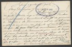 Mexico Local Postal Stationery 1902 Tepic Cancel