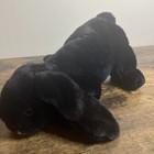 Animal Alley Flop Ear Bunny Rabbit Plush Stuffed Animal Black White Toys R Us