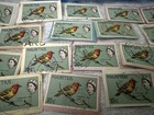 Lot Of 85 Mauritius 280  sg321  - Native Birds  mauritius Fody  Qty 85 Rare Find