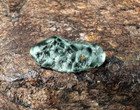    2 55 Ct Lake Superior Greenstone chlorastrolite up Michigan Gem Isle Royal   1171