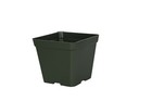 4 Inch Square Green Hard Nursery Pots  - Set Of 25 - Plastic Flower