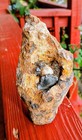 Civil War Schenkl Shell With Exposed Case Shot
