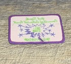 Girl Scout Council Of Colonial Coast All-star Gsa Fun Patch Daisy Brownie Troop
