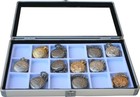 2 Pocket 18 Watch Show Case Display Antique Jewelry Supply Box  Pocket Watches