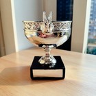 Roland Garros French Open Tennis Men s Champions Trophy 16cm Resin Trophy