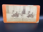Young Boy Training His Dog   Antique Old Photo Stereoview   Union View Co 