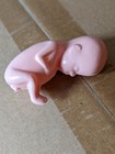 1 Hard Plastic Model Fetus  Unusual Medical Fetal Doll  Abortion