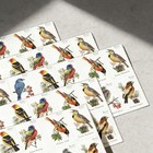 2014 Usps Songbirds Forever Stamps Scott  4882-4891 - Bulk 100 Mnh