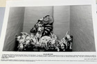  102 Dalmatians  2-very Cute Press Photos  Movie Scenes  Nm Condition