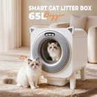 Self Cleaning Litter Box For Multiple Cats  Automatic Cat Litter Box App Control