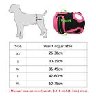 Female Small Pet Dog Puppy Hygiene Diapers Pant Washable Reusable Nappy Pants
