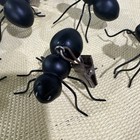 7 Vtg Picnic Tablecloth Weights- Ants  The Only Ones You Want At Your Picnic 