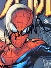 Marvel Knights Spider-man  1 Autograph Signed Mark Millar Terry Rachel Dodson