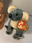 Ty Beanie Babies Lot Of 3 Rare Retired Austrailian Animals Eucalyptus Pouch Ants