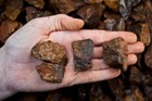 1 2 Lb Hematite Rough Stones - Natural Crystal Mineral Rock Tumbling  mada 