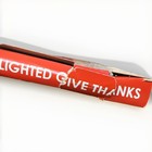 Thanksgiving    give Thanks    Lighted Window Decoration  New In Box  16 1 2  Long