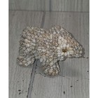Vintage Sea Shell Encrusted Elephant Trunk Up 4  Ocean Beach Boho
