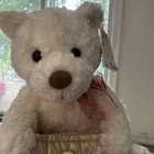 Gund White Teddy Bear With Red Floral Bow And Pink Purse 16    Soft And Snuggly