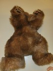 Ty Beanie Babies Brown Bear Plush Beanbag Stuffed Animal W  Tags  1996 