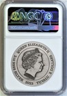 2023 The Phantom 2oz Silver Antiqued Colored  2 Coin Ngc Ms 70 First Releases