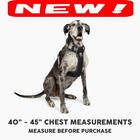 Correa Antitirones Xl Para Perros Extragrandes  Reflectante  Nailon De Grado Mil