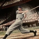 Joe Dimaggio    the Streak    Bradford Exchance Collector Plate  6219c