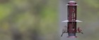 Squirrel Proof Bird Feeders With Weight-activated Perches  Metal Wild Bird