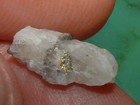 Gold Quartz Specimen  58 Gram California