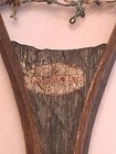 Vintage L L Bean  Wood Fly Fishing Net W  Lightweight Beautiful Wood Original