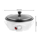 Home Electric Coffee Roaster Household Coffee Bean Roasting Baking Machine 110v