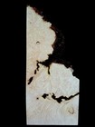 Xxl Mind Blowing Figured Birdseye Maple Burlwood Burl Wood Slab Curly Maple Burl