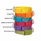 Casual Canine Nylon Dog Collar W Quick Release Buckle  Xs S M L  11 Colors
