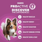 Iams Proactive Health Senior Dry Dog Food - Chicken   Whole Grains  29 1 Lb