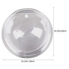Acrylic Wall Plant Pot Wall Mounted Fish Tank Decorative Flower Vases Clear