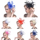 Women Feather Headwear Fascinator Hair Clip Party Wedding Bridal Birdcage Hat